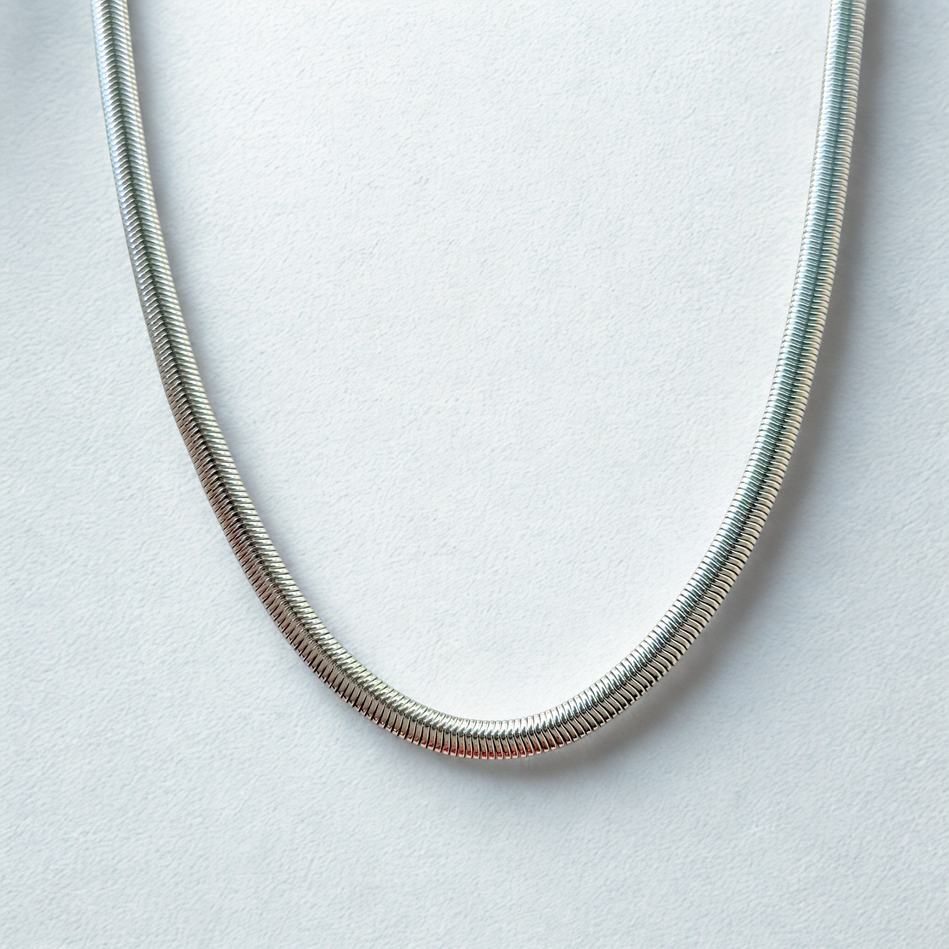 Snake Neck Chain