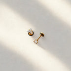Maxx Stud Earrings